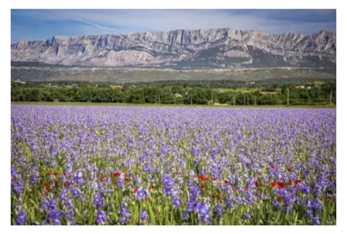 Aix-en-provence, Cosy Proche Toutes Commodites, Linges Fournis Apartment Aix-en-Provence